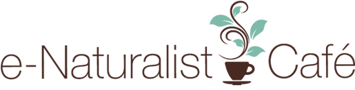 Welcome to the E-Naturalist Caf&eacute;!